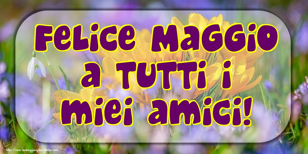 Cartoline di 1 Maggio - Felice Maggio a tutti i miei amici!