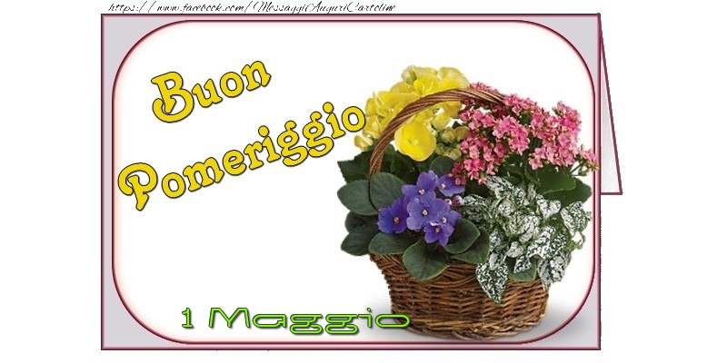 Cartoline di 1 Maggio - 1 Maggio - Buon Pomeriggio