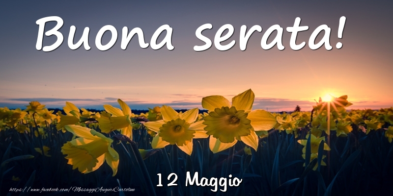 Cartoline di 12 Maggio - 12 Maggio - Buona serata!