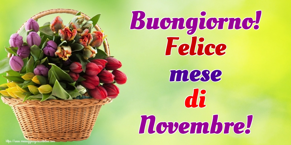 Cartoline di 1 Novembre - Buongiorno! Felice mese di Novembre!