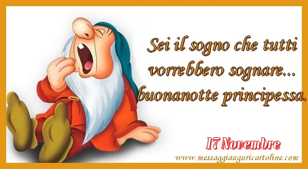 Cartoline di 17 Novembre - 17 Novembre - Sei il sogno che tutti  vorrebbero sognare...  buonanotte principessa.