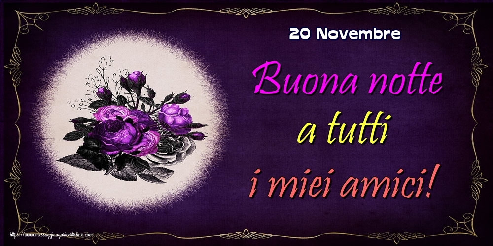 20 Novembre - Buona notte a tutti i miei amici!