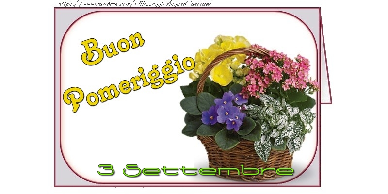 Cartoline di 3 Settembre - 3 Settembre - Buon Pomeriggio