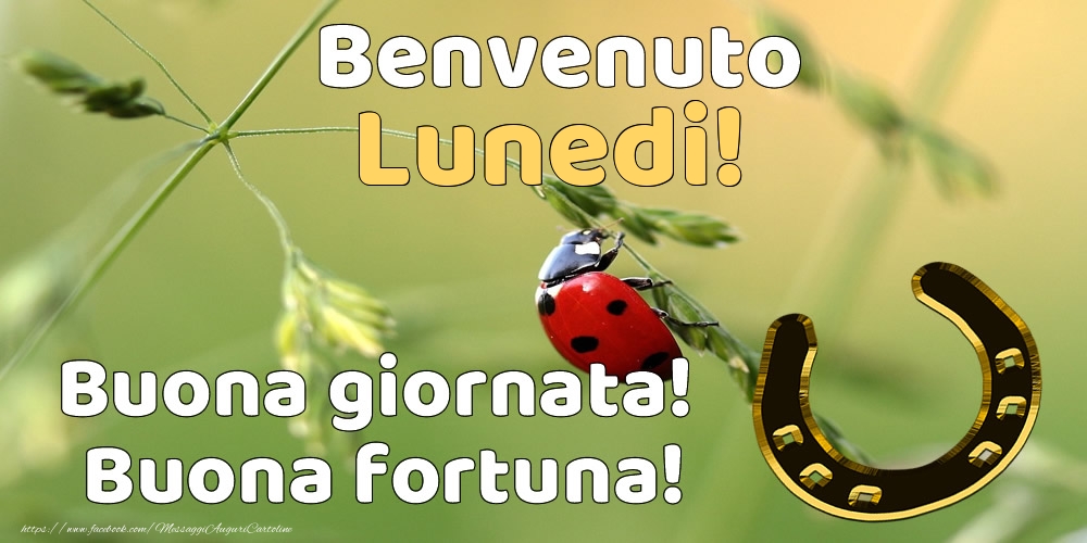 Benvenuto lunedi! Buona giornata! Buona fortuna!