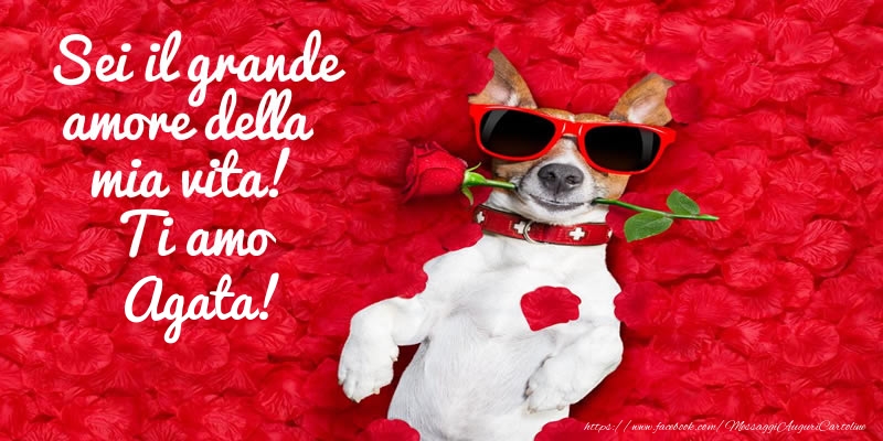  Cartoline d'amore - Animali & Rose | Sei il grande amore della mia vita! Ti amo Agata!