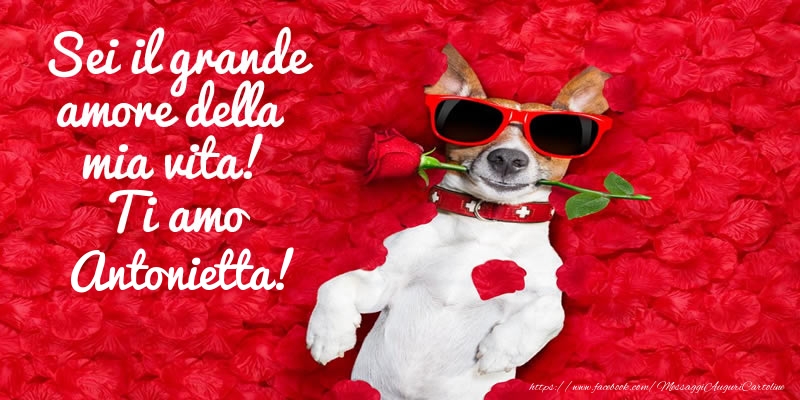  Cartoline d'amore - Animali & Rose | Sei il grande amore della mia vita! Ti amo Antonietta!