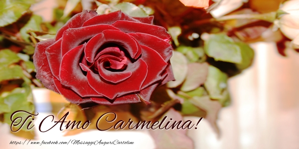 Cartoline d'amore - Rose | Ti amo Carmelina!
