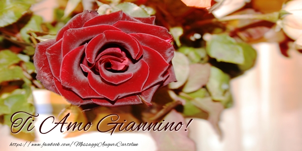 Cartoline d'amore - Rose | Ti amo Giannino!