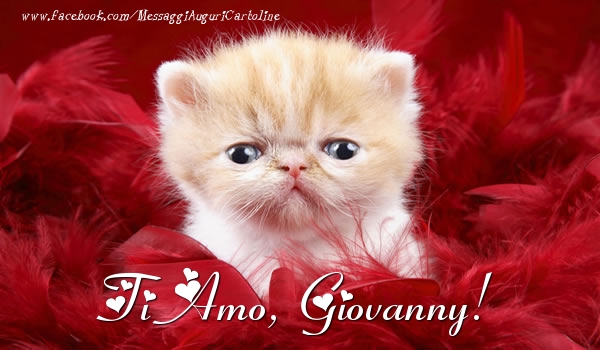  Cartoline d'amore - Animali | Ti amo, Giovanny!