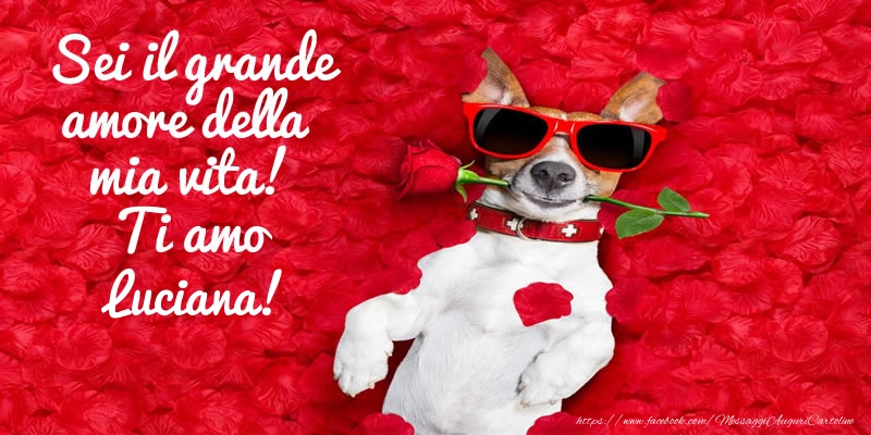 Cartoline d'amore - Animali & Rose | Sei il grande amore della mia vita! Ti amo Luciana!