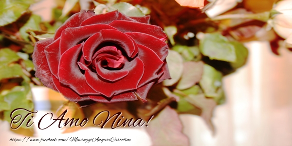 Cartoline d'amore - Rose | Ti amo Nina!