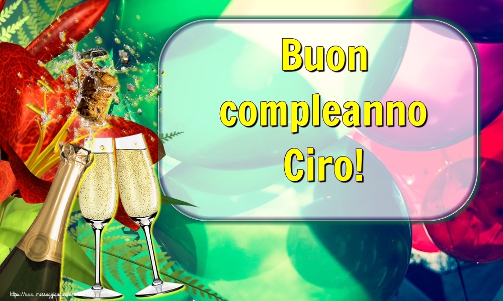  Cartoline di auguri - Champagne | Buon compleanno Ciro!