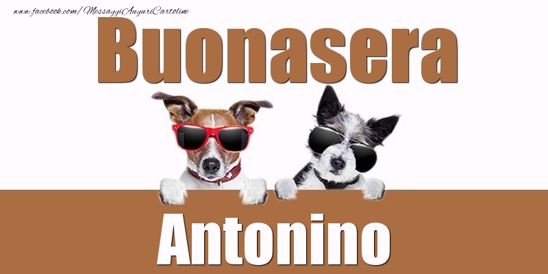 Cartoline di buonasera - Buonasera Antonino