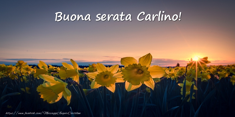 Cartoline di buonasera -  Fiori: Buona serata Carlino!