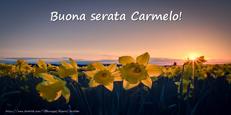 Cartoline di buonasera - Fiori: Buona serata Carmelo!