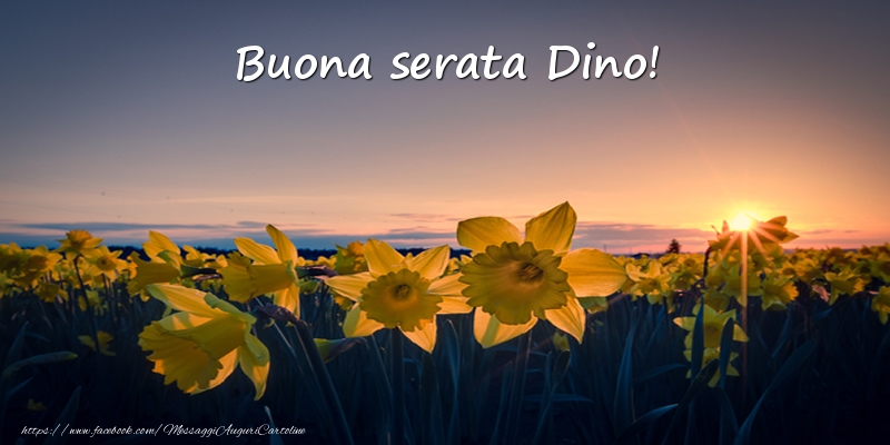 Cartoline di buonasera -  Fiori: Buona serata Dino!