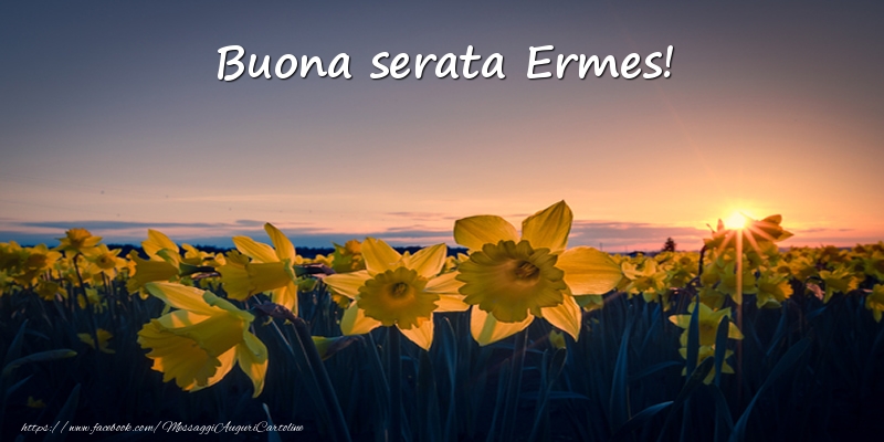 Cartoline di buonasera - Fiori: Buona serata Ermes!