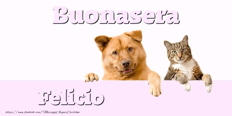 Cartoline di buonasera - Animali | Buonasera Felicio