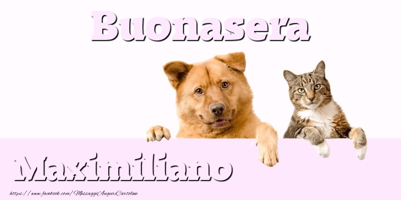  Cartoline di buonasera - Animali | Buonasera Maximiliano