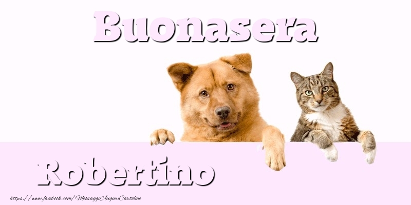 Cartoline di buonasera - Animali | Buonasera Robertino