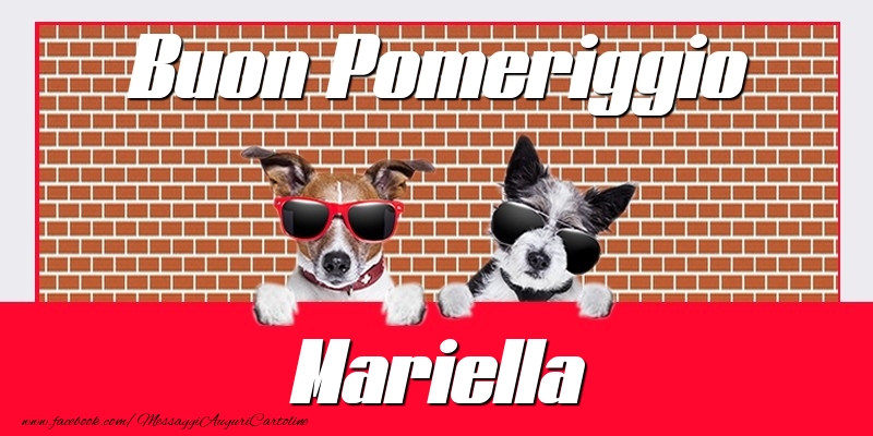  Cartoline di buon pomeriggio - Animali | Buon Pomeriggio Mariella