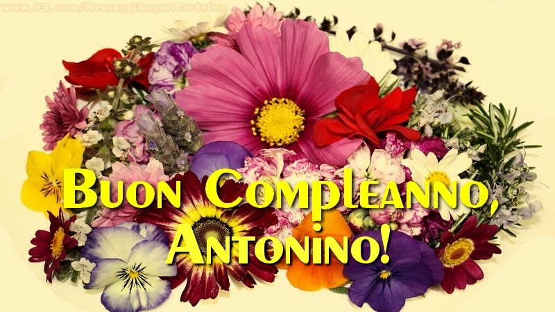  Cartoline di compleanno - Fiori & Mazzo Di Fiori | Buon compleanno, Antonino!