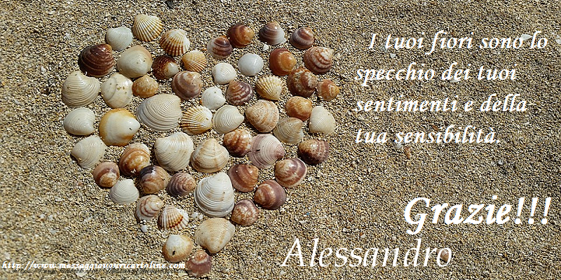 Cartoline di grazie - Grazie Alessandro