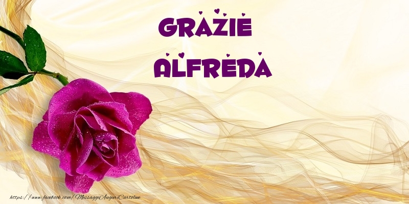 Cartoline di grazie - Grazie Alfreda