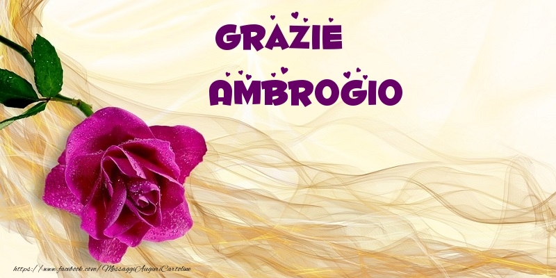 Cartoline di grazie - Grazie Ambrogio