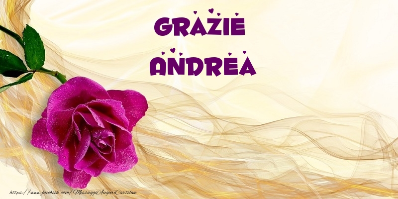 Cartoline di grazie - Grazie Andrea