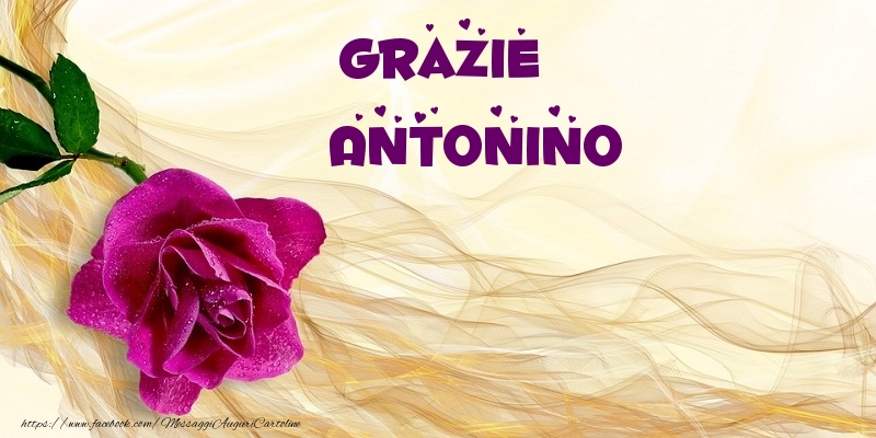 Cartoline di grazie - Grazie Antonino