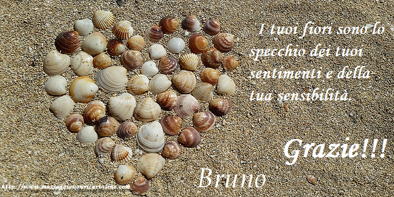 Cartoline di grazie - Grazie Bruno