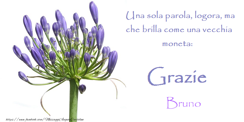 Cartoline di grazie - Grazie Bruno