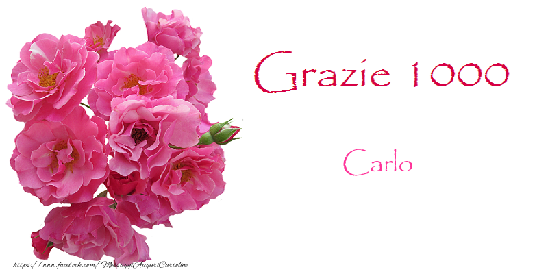 Cartoline di grazie - GRAZIE 1000 Carlo