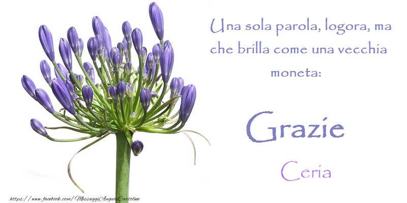 Cartoline di grazie - Grazie Ceria