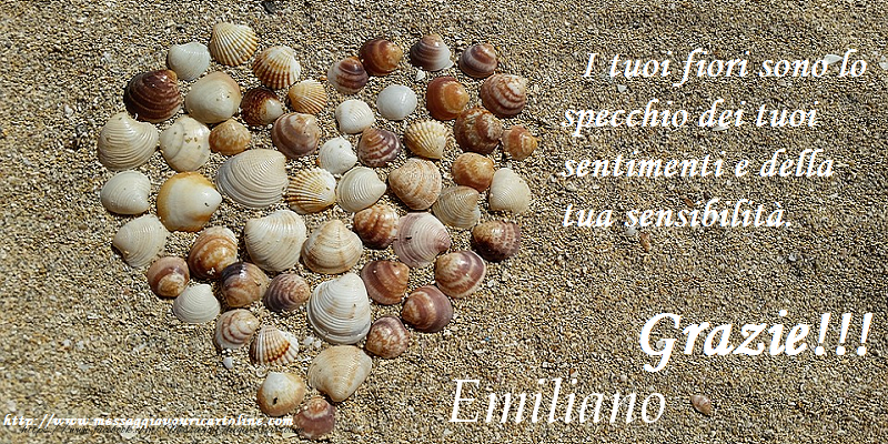 Cartoline di grazie - Grazie Emiliano