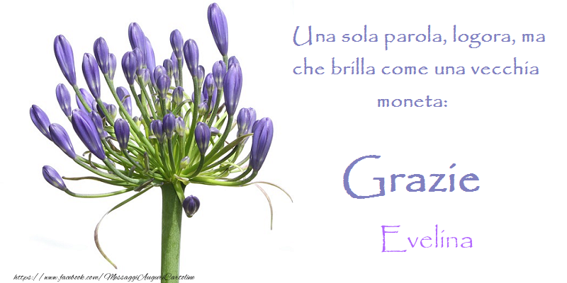 Cartoline di grazie - Grazie Evelina