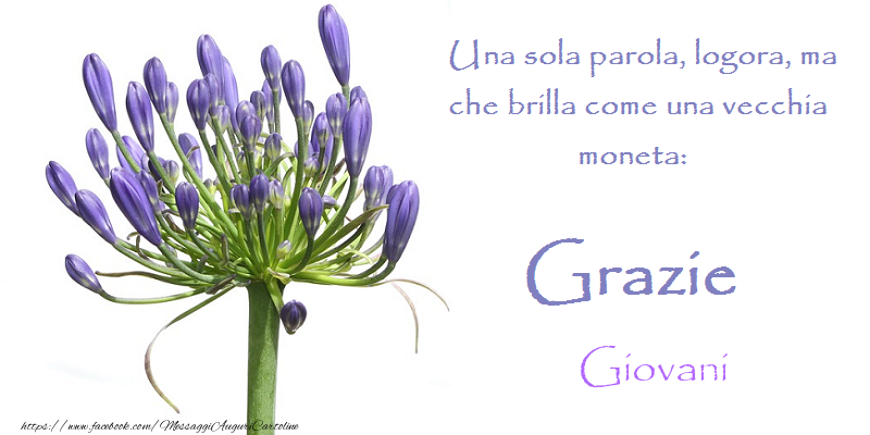 Cartoline di grazie - Grazie Giovani