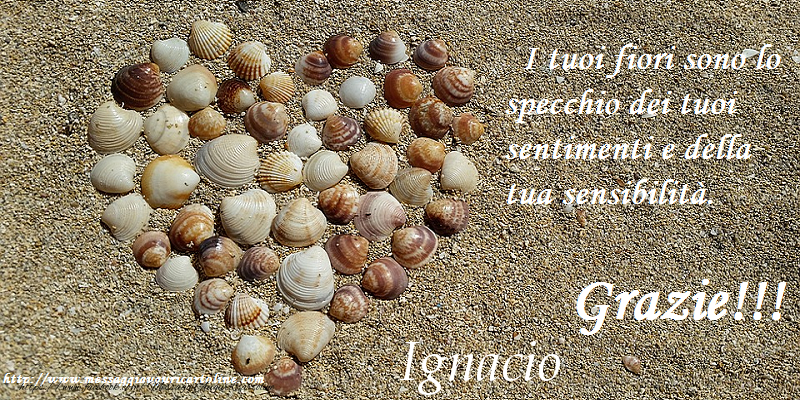 Cartoline di grazie - Grazie Ignacio