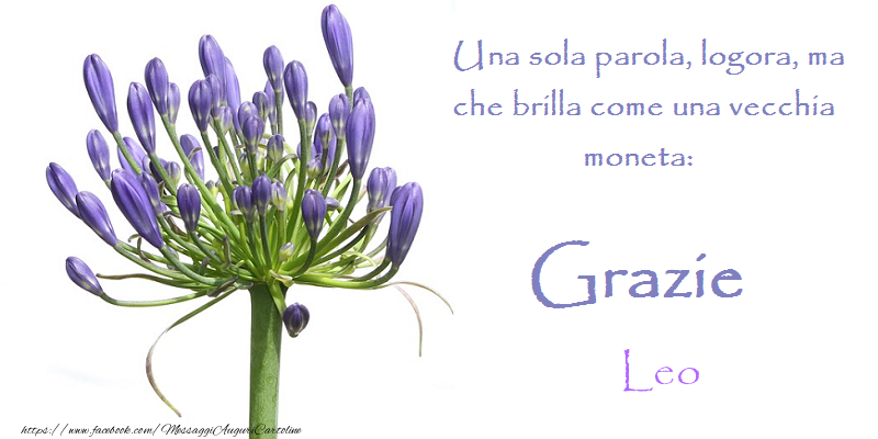 Cartoline di grazie - Grazie Leo