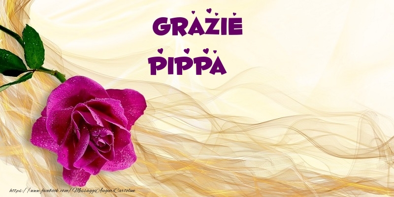  Cartoline di grazie - Fiori | Grazie Pippa