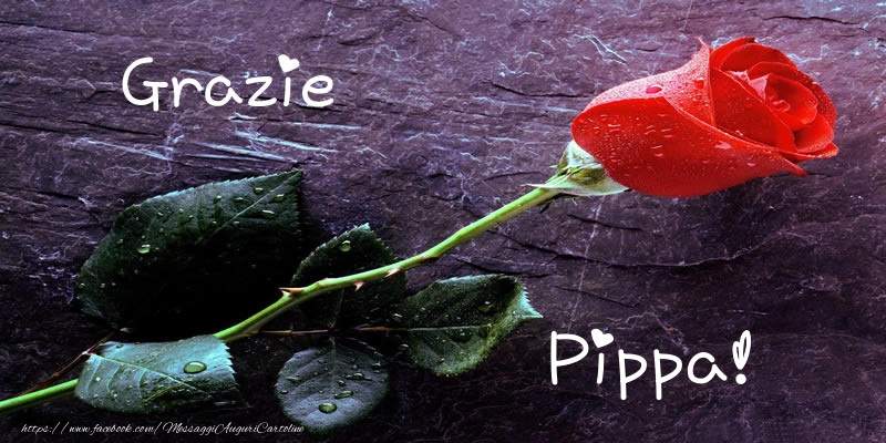  Cartoline di grazie - Rose | Grazie Pippa!