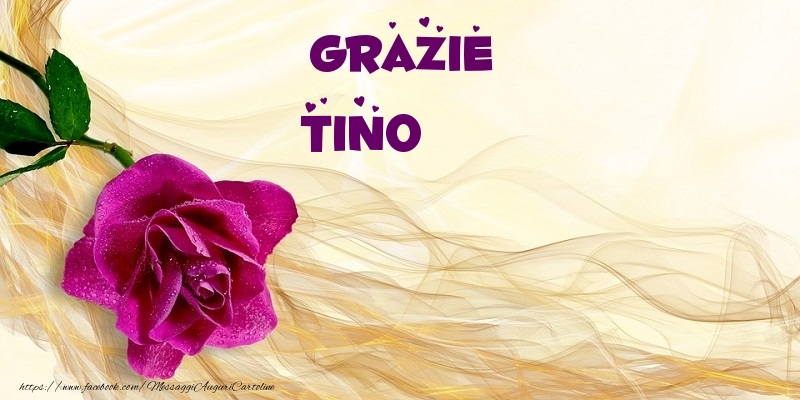 Cartoline di grazie - Fiori | Grazie Tino