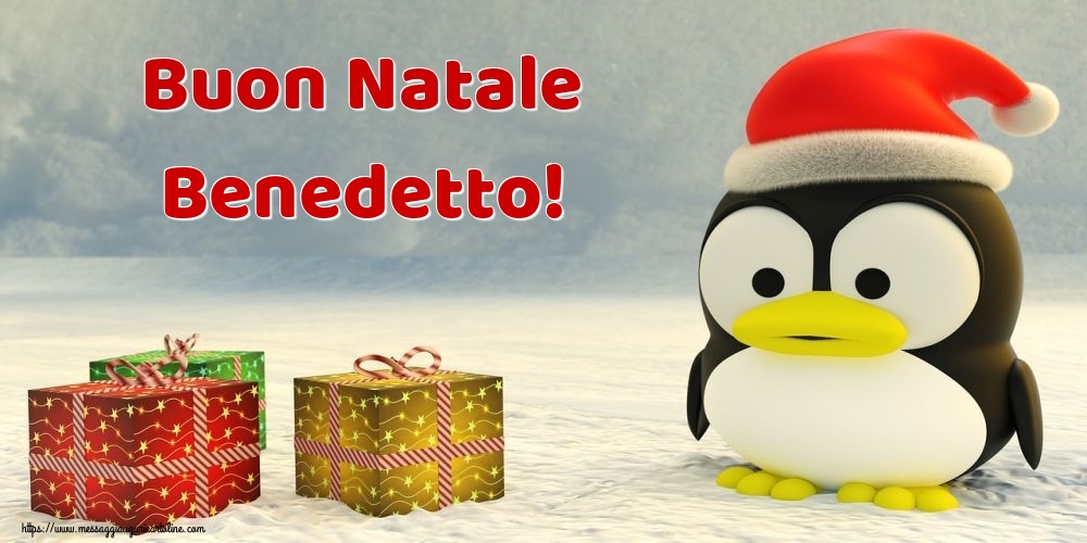  Cartoline di Natale - Animali & Regalo | Buon Natale Benedetto!