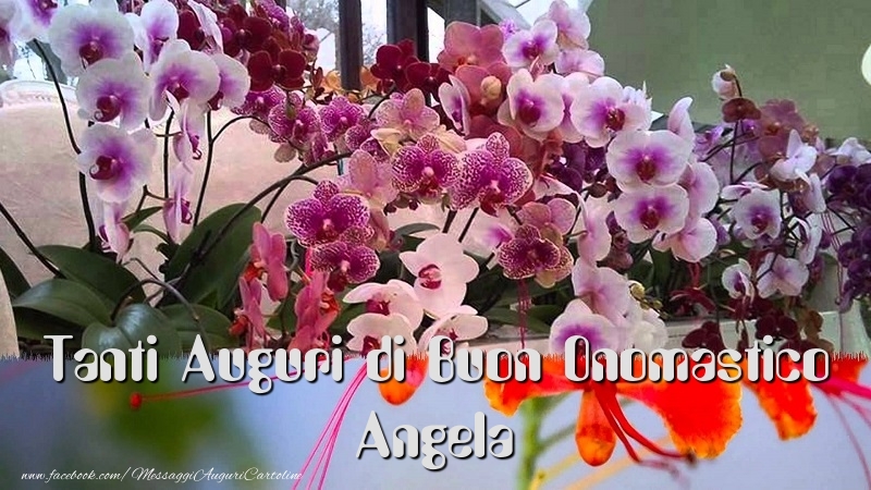 Cartoline di onomastico - Tanti Auguri di Buon Onomastico Angela